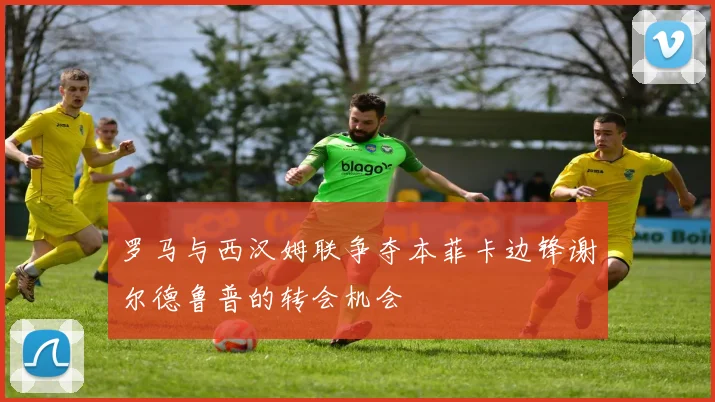 罗马与西汉姆联争夺本菲卡边锋谢尔德鲁普的转会机会